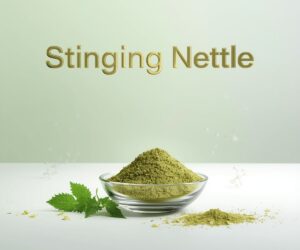 Stinging Nettle Extract | Joint, Urinary & Wellness Support | Bioprecis