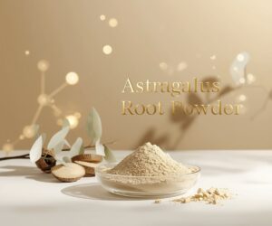 Astragalus Root Powder – Immune & Vitality Support by Bioprecis