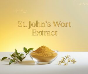 St. John’s Wort Extract | Natural Mood & Stress Support | Bioprecis