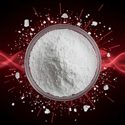 D-Citrulline Maleate | Nitric Oxide & Muscle Performance Support | Bioprecis