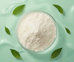 D-Theanine | Nootropic & Nutraceutical Grade Ingredient | Bulk Supplier India