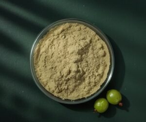 Saw Palmetto Extract(Fatty Acid 45%)