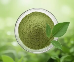 Green Tea Extract (60%Polyphenols)/(50%EGCG)